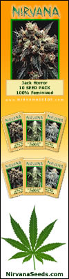 NirvanaSeeds.com - High THC Marijuana Seeds 